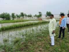 गंगा के बढ़ते जलस्तर से फसलों पर खतरा