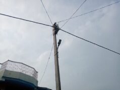 शोपीस बना स्ट्रीट लाइट