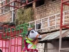 मऊआइमा में कर्ण घोडा जुलूस निकला मुकुट पूजन का आगाज