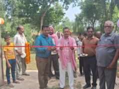 मॉडल गो आश्रय स्थल बनेगी इब्राहिमपुर की गौशाला