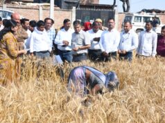 जिलाधिकारी ने क्राप कटिंग प्रयोगों का किया निरीक्षण